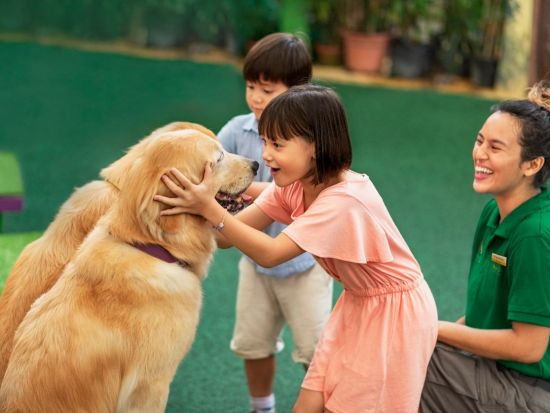 シンガポール動物園　入場チケット事前予約　＊即予約確定