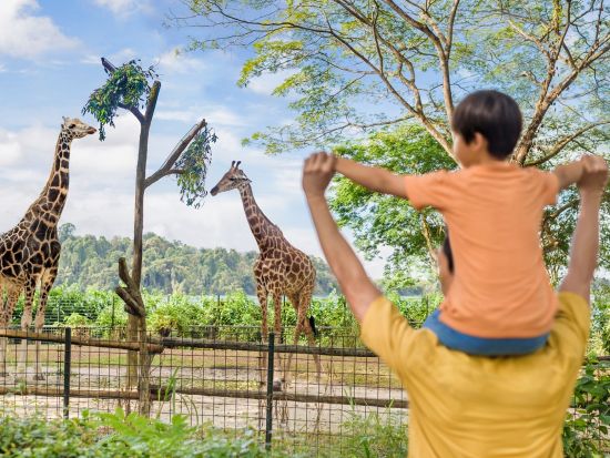 シンガポール動物園　入場チケット事前予約　＊即予約確定
