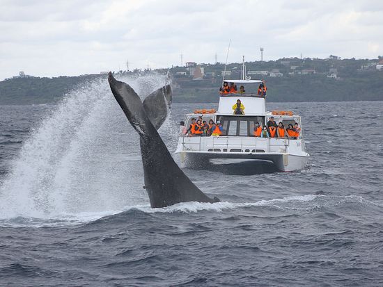 3.編テールスラップ