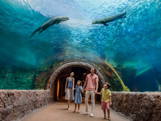 シンガポール　リバーワンダー（旧リバーサファリ）　入場チケット事前予約　＊即予約確定