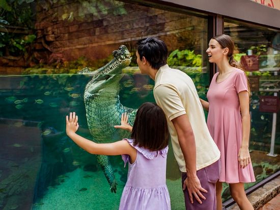 Ganges River - Indian Gharial