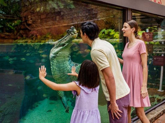 シンガポール　リバーワンダー（旧リバーサファリ）　入場チケット事前予約　＊即予約確定