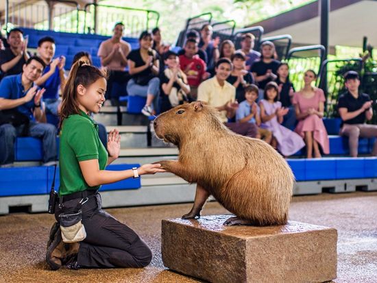 Once Upon A Time Presentation