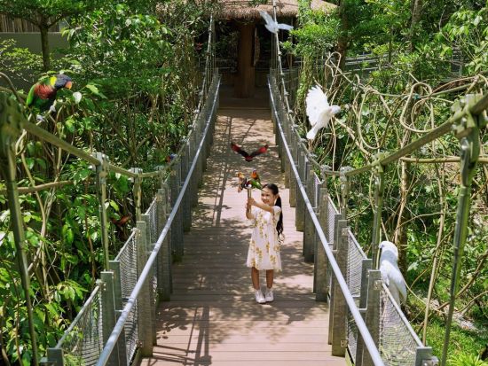 シンガポール バードパラダイス　入場チケット事前予約　＊即予約確定