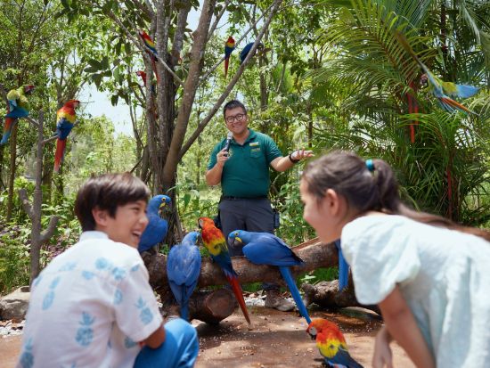 シンガポール バードパラダイス　入場チケット事前予約　＊即予約確定