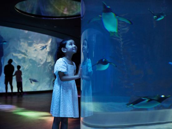 シンガポール バードパラダイス　入場チケット事前予約　＊即予約確定