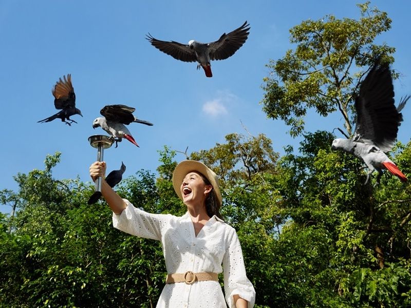 Nyungwe Forest Heart of Africa_Feeding