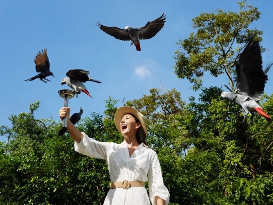 シンガポール バードパラダイス　入場チケット事前予約　＊即予約確定