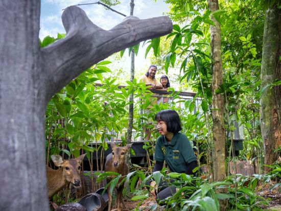 レインフォレスト・ワイルド・アジア　入場チケット事前予約　＊即予約確定