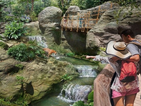 レインフォレスト・ワイルド・アジア　入場チケット事前予約　＊即予約確定