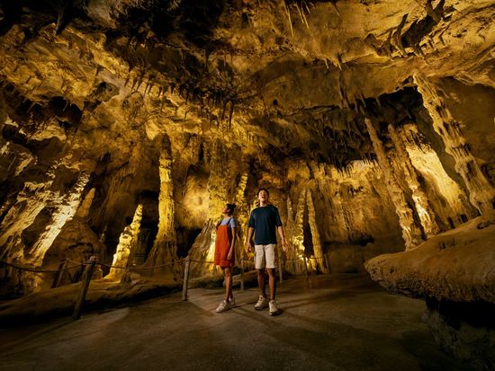 81455b17-932c-4895-a4a7-7b5b17d937bd