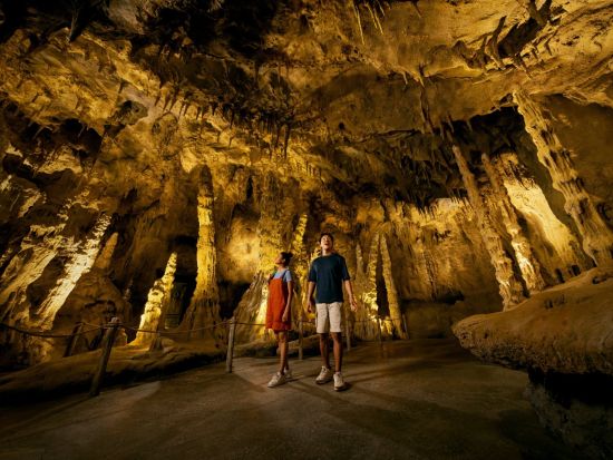 レインフォレスト・ワイルド・アジア　入場チケット事前予約　＊即予約確定