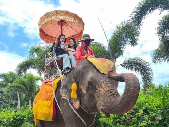 本格象乗り＆ダムヌンサドゥアック水上マーケット半日ツアー　「ピンクのカオマンガイ」 食事券付きプランあり＜午前／日本語ガイド＞