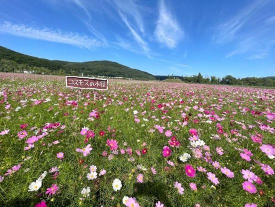 eバイクサイクリング＆カヤック体験ツアー　網走国定公園を駆けめぐるコース　伴走車付で安心！＜昼食付／4～10月／約3時間／網走市＞ by コネクトリップ