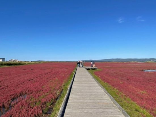 eバイクサイクリング＆カヤック体験ツアー　網走国定公園を駆けめぐるコース　伴走車付で安心！＜昼食付／4～10月／約3時間／網走市＞ by コネクトリップ