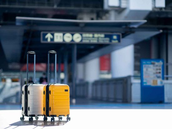 shutterstock_2445554045