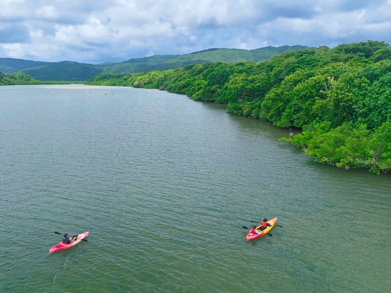 DJI_仲間川カヌー_250916 (5)-1