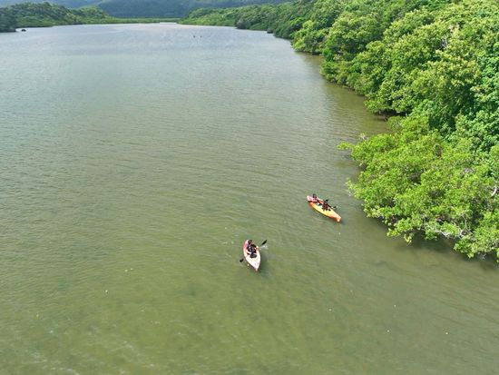 DJI_仲間川カヌー_250916 (6)-1