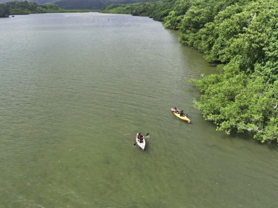【ベストプライス】3島めぐり 西表・由布・竹富島 日帰りツアー  西表島カヌー体験＋水牛車＋選べる竹富島での過ごし方（レンタサイクル他）＜1日／昼食付＞