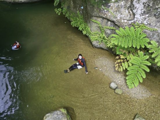 【ベストプライス】3島めぐり 西表・由布・竹富島 日帰りツアー  西表ジャングル探検＋水牛車＋選べる竹富島での過ごし方（レンタサイクル他）＜1日／昼食付＞