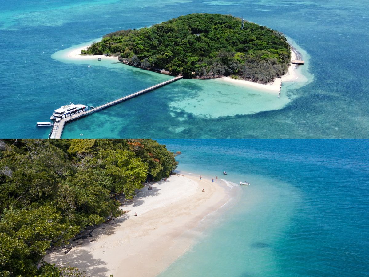 世界遺産グレートバリアリーフクルーズ グリーン島＆フィッツロイ島を1