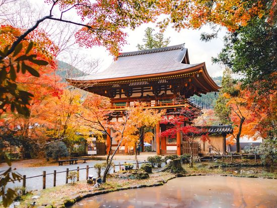 DSUQR_f0a4d3d3-f3b4-433e-b404-ab