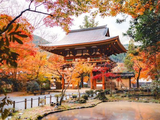 大阪・奈良南部楽遊パス 2日間で19以上の観光スポットを満喫 QRコードで簡単入場