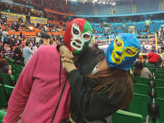 貸切チャーター(4名まで)　フリープランでメキシコシティを巡る！安心の日本語ガイドプランあり＜8時間／英語ドライバー／メキシコシティ市発／空港送迎可＞