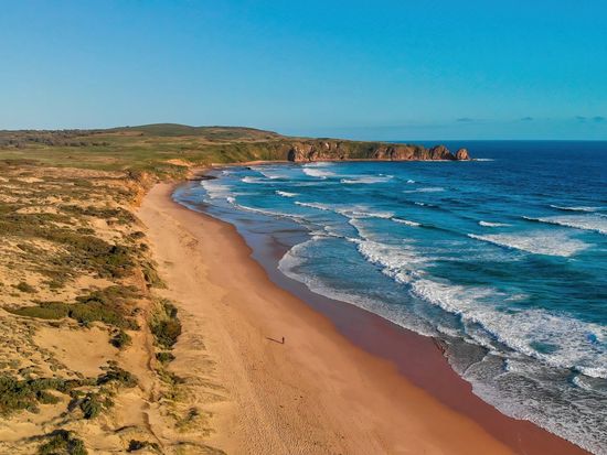 shutterstock_2264944129