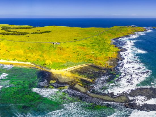 shutterstock_786194218