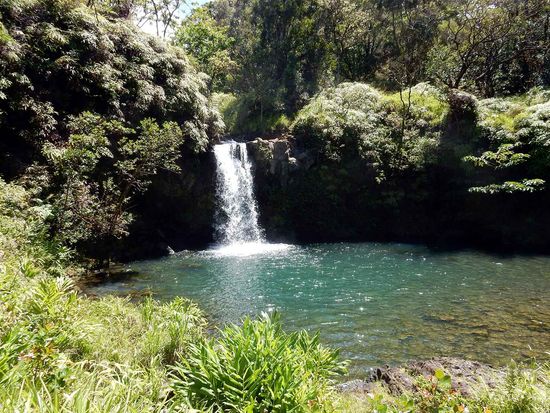 shutterstock_1289967034