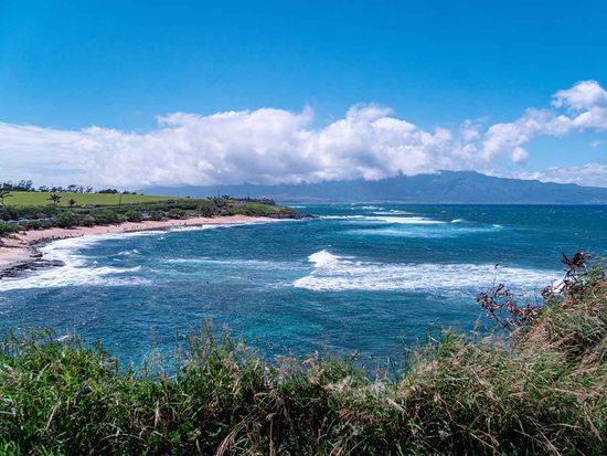 shutterstock_2276066547