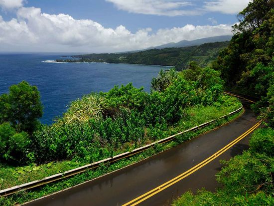 shutterstock_1344303062