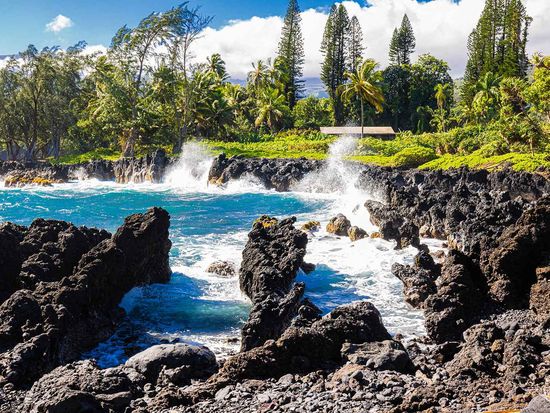 shutterstock_2593440529