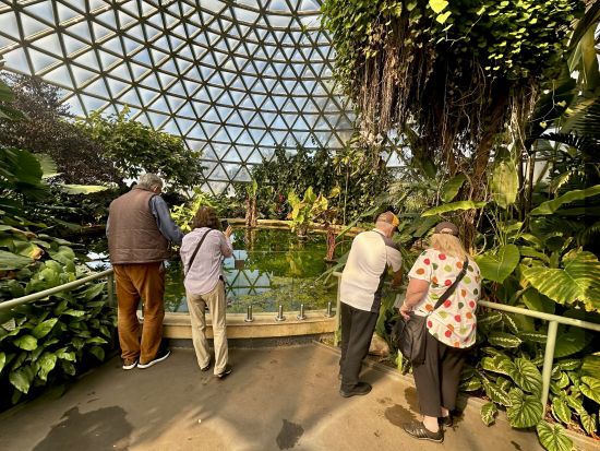 ブリスベン 半日市内観光バスツアー 主要名所を効率よく巡る！＜4時間／少人数／英語ガイド＞
