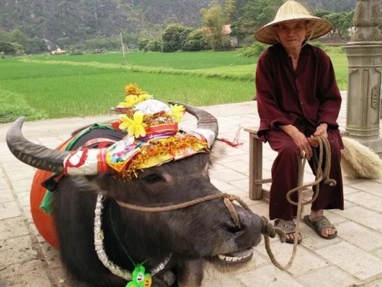 ハノイ発古都ホアルーの絶景と歴史探訪ツアー　タムチュック寺＋ホアルー＋ティエンハー洞窟＜日本語ガイド／昼食付き＞