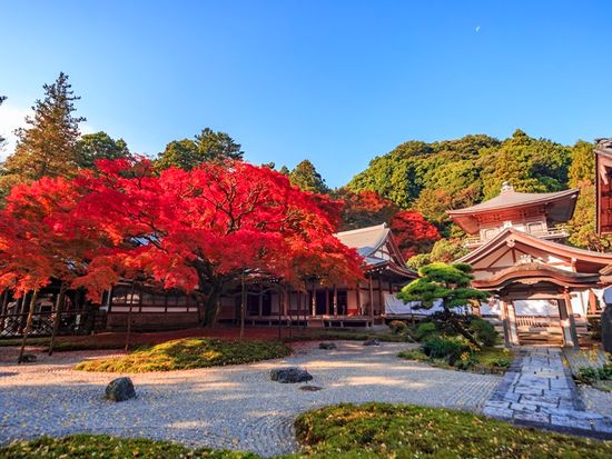 雷山千如寺大悲王院04
