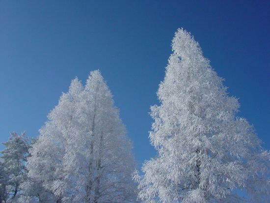 C9GWC_8e425910-09d1-4982-a72a-19