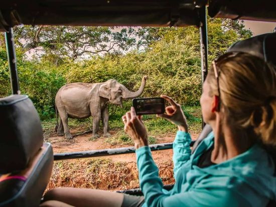 Yala-national-park-closure