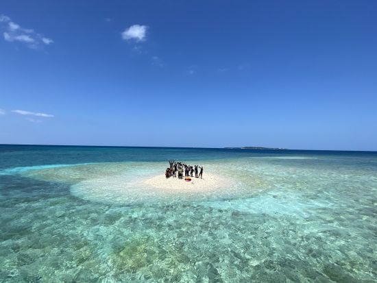 世界屈指のサンゴ礁とエンジェルフィッシュに囲まれてシュノ－ケリング体験 幻の島「バラス島」上陸と写真撮影＋鳩間島でのランチ&観光も＜1日／送迎付／3月～11月＞