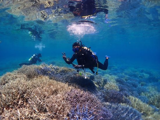 体験ダイビング 西表島のカラフルな海で体験ダイビング 1ボートor2ボートで楽しむ水中世界＜約3時間or1日／送迎付／3月～12月＞