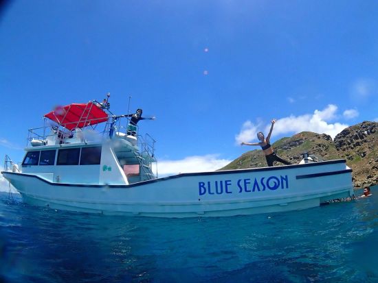 体験ダイビング 西表島のカラフルな海で体験ダイビング 1ボートor2ボートで楽しむ水中世界＜約3時間or1日／送迎付／3月～12月＞