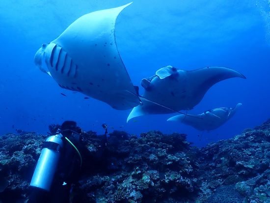 ファンダイブ3_R