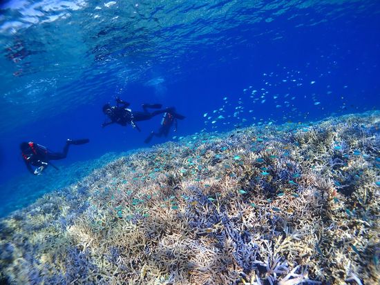 ファンダイブ4_R