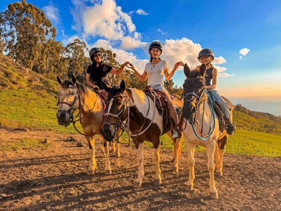 乗馬体験(1.5時間)　ワイアナエ山脈の豊かな森と丘の上から望むオーシャンビューを体験！サンセットプランあり＜現地集合＞