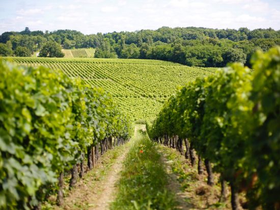 【駅送迎】ボルドー サン ジャン駅 ⇔ ボルドー市内ホテル 簡単な日本語と英語を話すドライバーがご案内＜貸切専用車＞