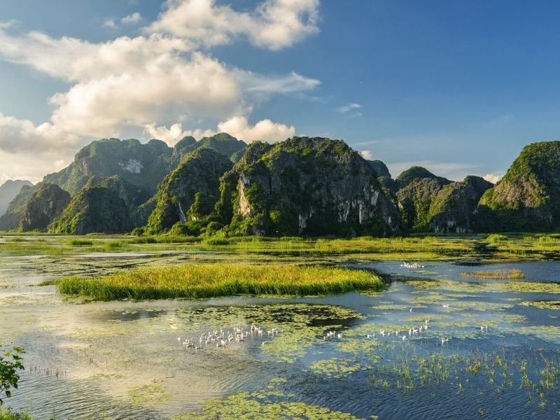kinh-nghiem-du-lich-dam-van-long-ninh-binh-3-1024x705