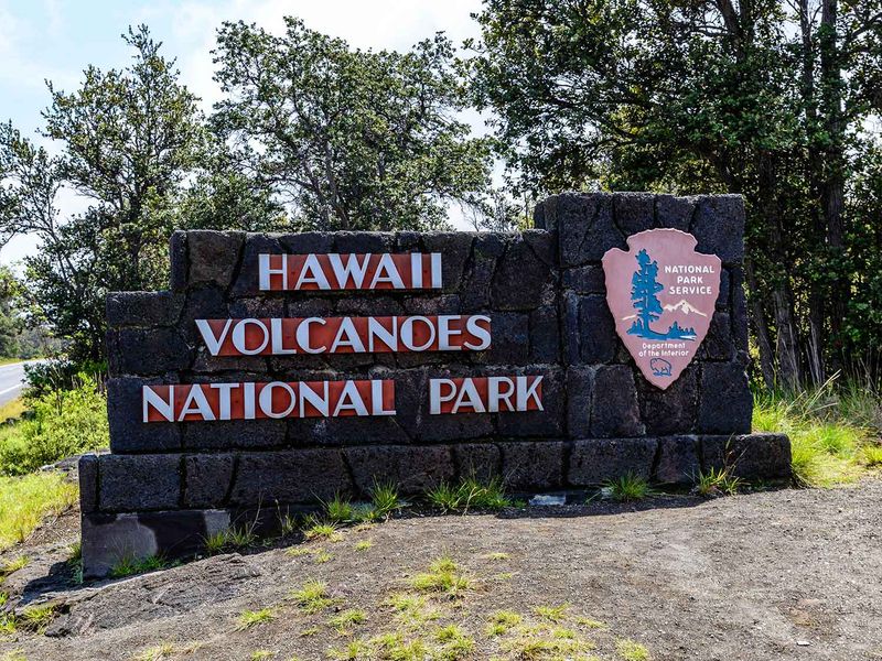 shutterstock_2533495343