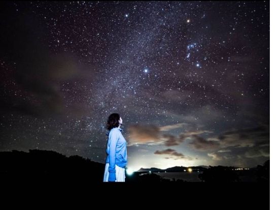 星空☆ナイトサファリ☆ 天然のプラネタリウム石垣島で南国特有の動植物を探そう〈約2時間／市街地送迎／石垣島＞