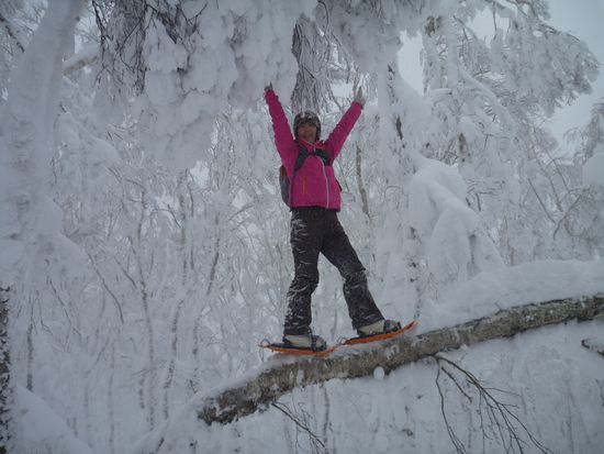 イクサンダー冬5h(2)